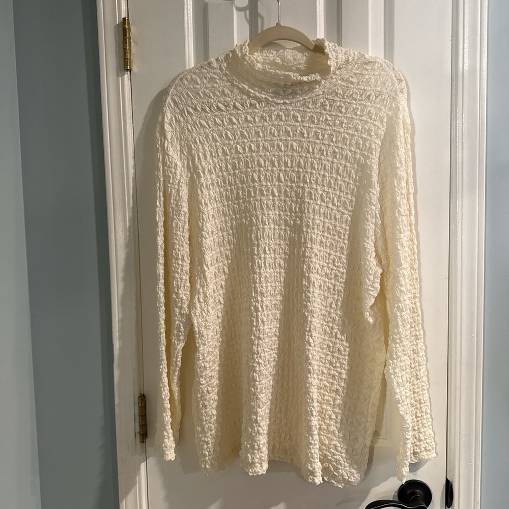 NWOT Sanctuary Ivory Textured Top